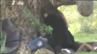 بورن علني: عربيات ينكحن في الخارج