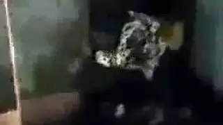 مص و سكس علني في الدار البيضاء بورن عربي في الشارع