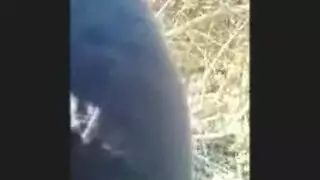 محجبة ساخنة تحب مص الزب في الحديقة و رضعه مع زب كبير