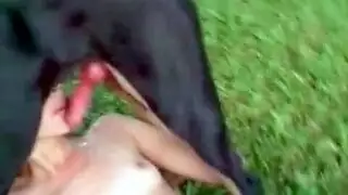 احتفال النيك الوحشي: عاهرة روسية تتوسل لقذف الكلب