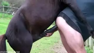 تفعيل وضع الوحش المثلي شذوذ الحصان والرجل الإباحي