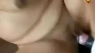 سكسحيوانات حصان حيوانات