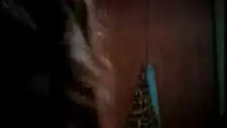 حيوان ينيك امر