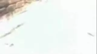 وضعية كلابية في الشارع المغربي فيديو إباحي علني