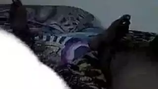 سكسي نيك برون
