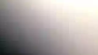 دش الذهبي أبيض