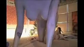 أسد امريكي الشرج مزدوج البظر كبير