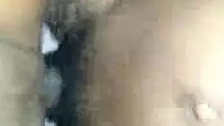 نساء مصرية ممتلئات الجسم في مشاهد إباحية صريحة