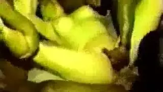 جلسة جماع لثدي كبير