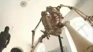 ضربات كلابية لمؤخرة تونسية كبيرة