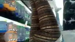 عاهرة كورية تتوسل لوضعية كلب قاسية