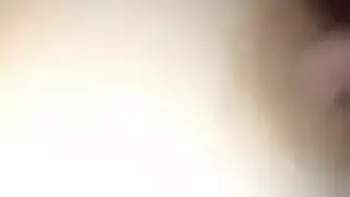 خزانة الأفلام الإباحية: ١٣ فيلماً غير مقطوع