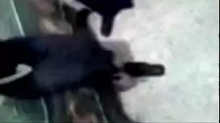 ارقام شراميط كفر الدوار